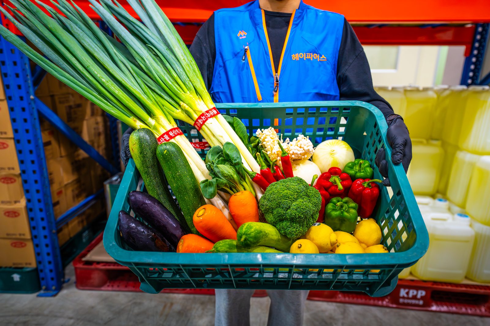 [샘플] 산지 채소 꾸러미